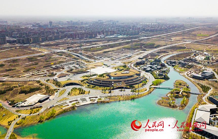 航拍雄安郊野公園。人民網(wǎng)宋燁文攝