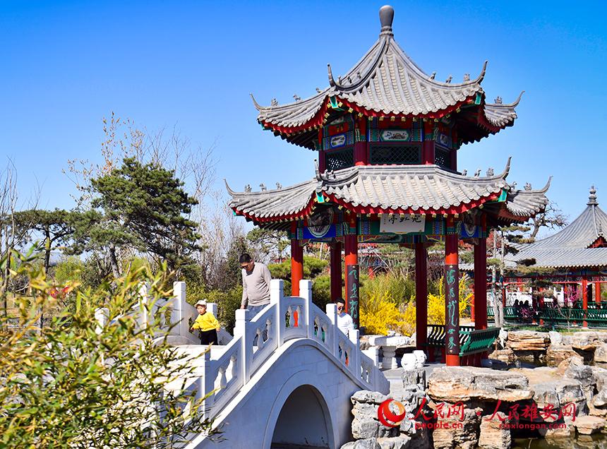 春天的雄安郊野公園，春和景明。人民網(wǎng)宋燁文攝