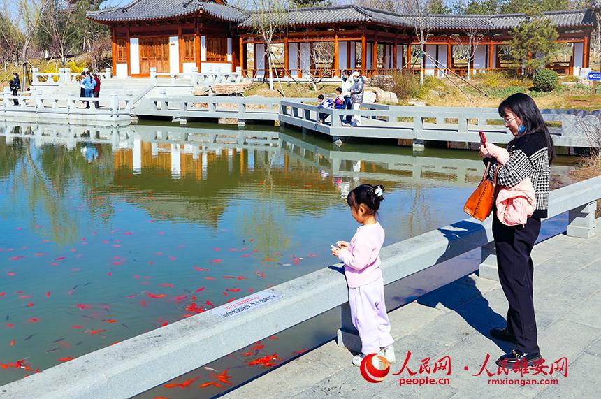 雄安悅?cè)莨珗@一角，不少家長(zhǎng)帶著孩子前來(lái)游玩。人民網(wǎng)宋燁文攝